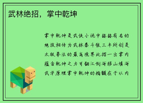 武林绝招，掌中乾坤